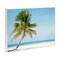 Stupell Industries Barrier Reef Island Palm Wall Plaque, design by Danita Delimont